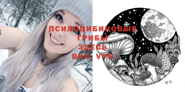 спиды Лагань