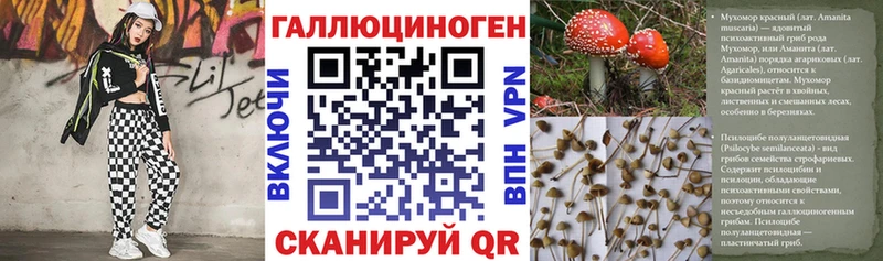 наркотики  Таруса  Псилоцибиновые грибы прущие грибы 